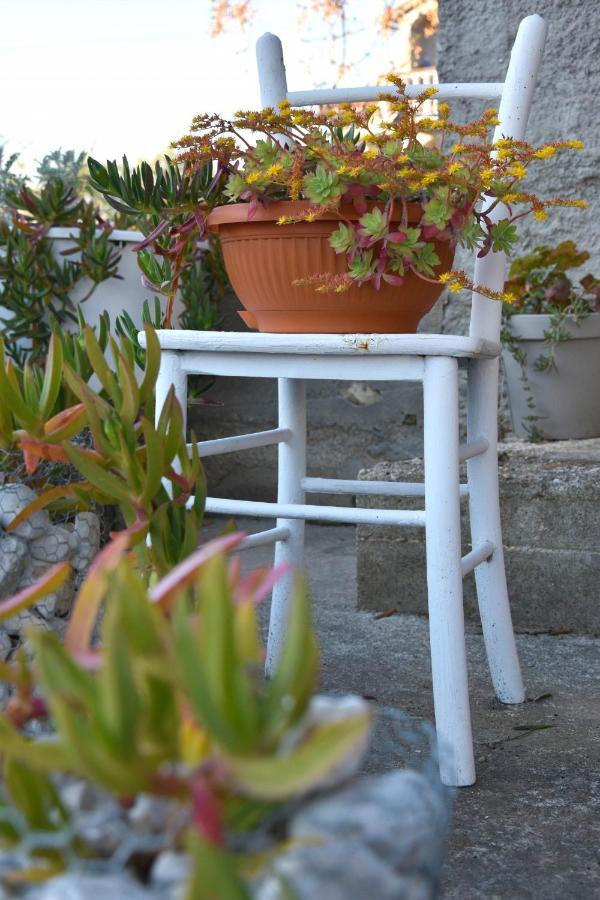 Greenvine Apartment ザダル エクステリア 写真
