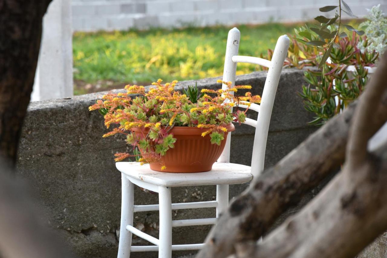 Greenvine Apartment ザダル エクステリア 写真